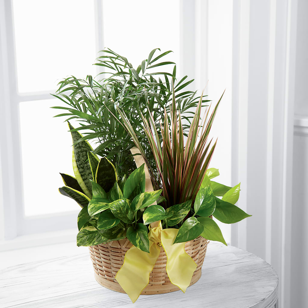 French Garden – Fairfield Florist, Fairfield CT