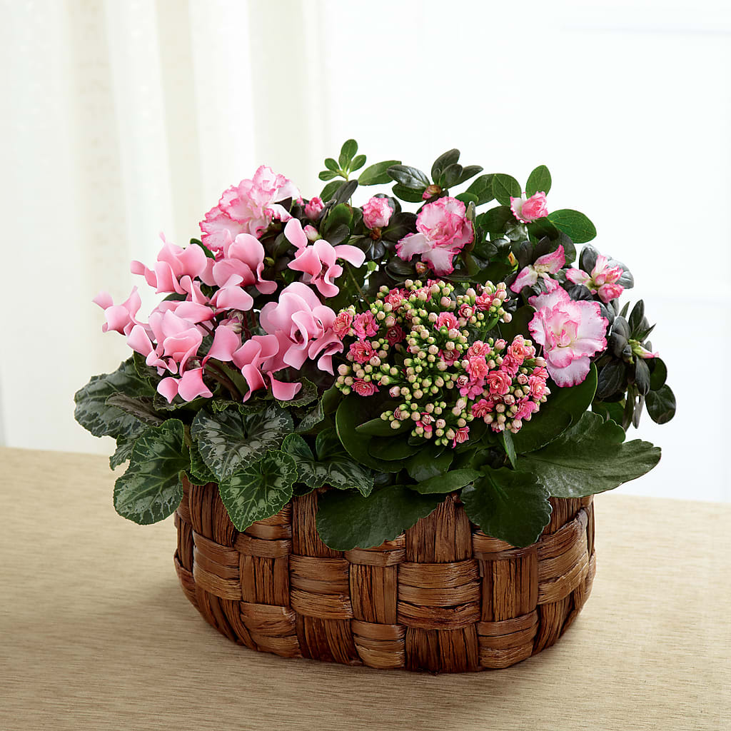 Pink Assortment – Fairfield Florist, Fairfield CT