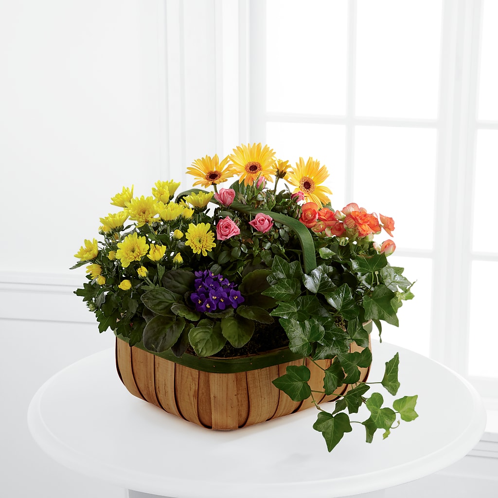 Gentle Blossoms Basket – Fairfield Florist, Fairfield CT