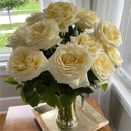 Long Stem Yellow Rose Bouquet – Fairfield Florist, Fairfield CT