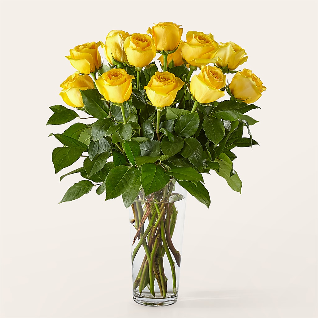 Long Stem Yellow Rose Bouquet – Fairfield Florist, Fairfield CT