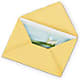Greeting Card – Fairfield Florist, Fairfield CT