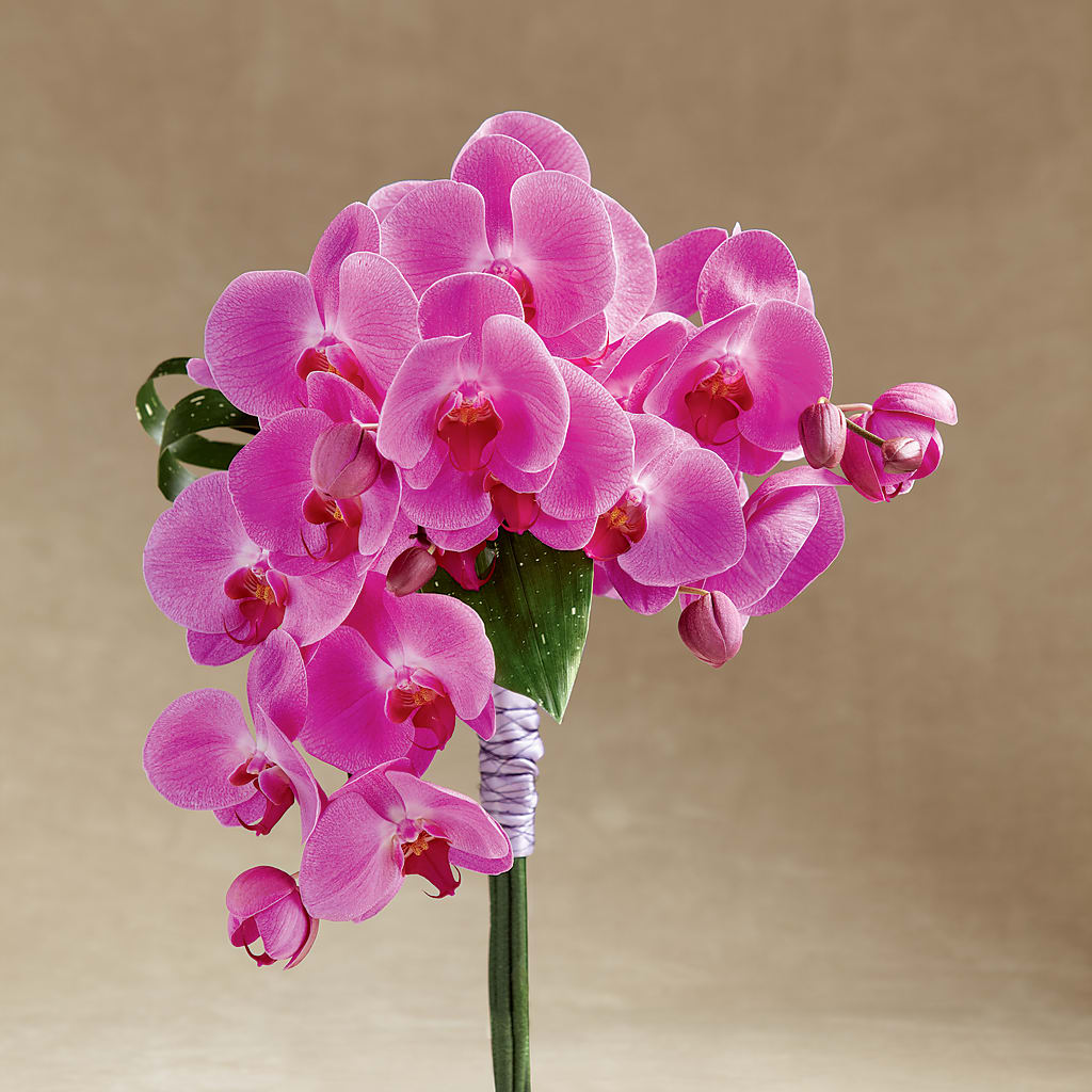 Glorious Bouquet – Fairfield Florist, Fairfield CT