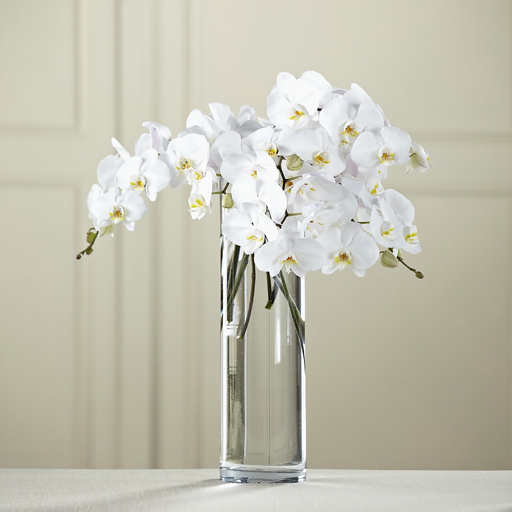 White Phalaenopsis Bouquet – Fairfield Florist, Fairfield CT
