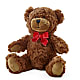 Adorable Plush Bear –  Fairfield Florist, Fairfield CT