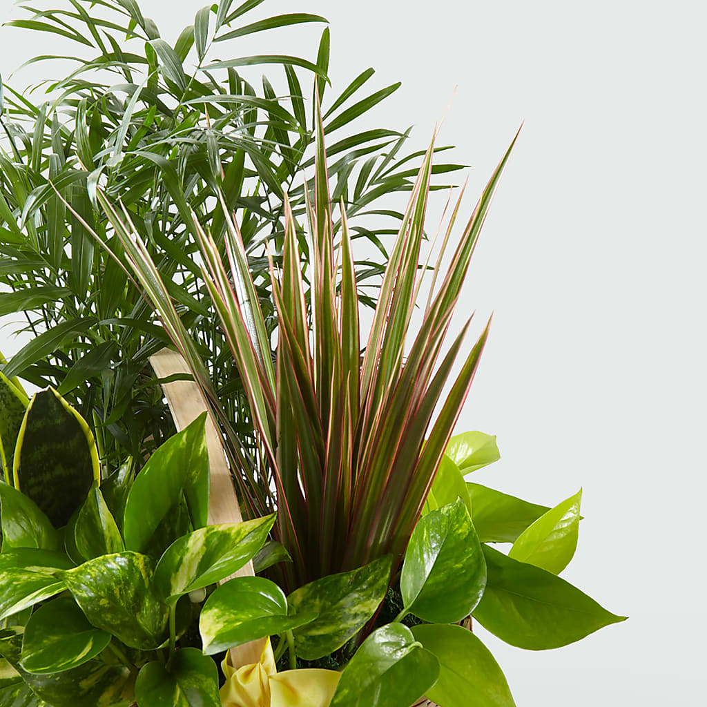 French Garden –  Fairfield Florist, Fairfield CT