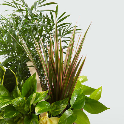 French Garden –  Fairfield Florist, Fairfield CT