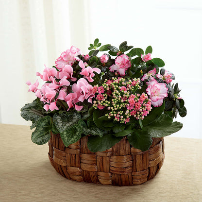 Pink Assortment –  Fairfield Florist, Fairfield CT
