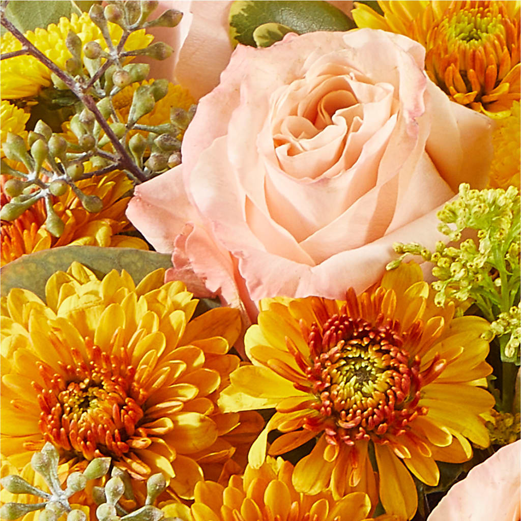 Peachy Pumpkin –  Fairfield Florist, Fairfield CT