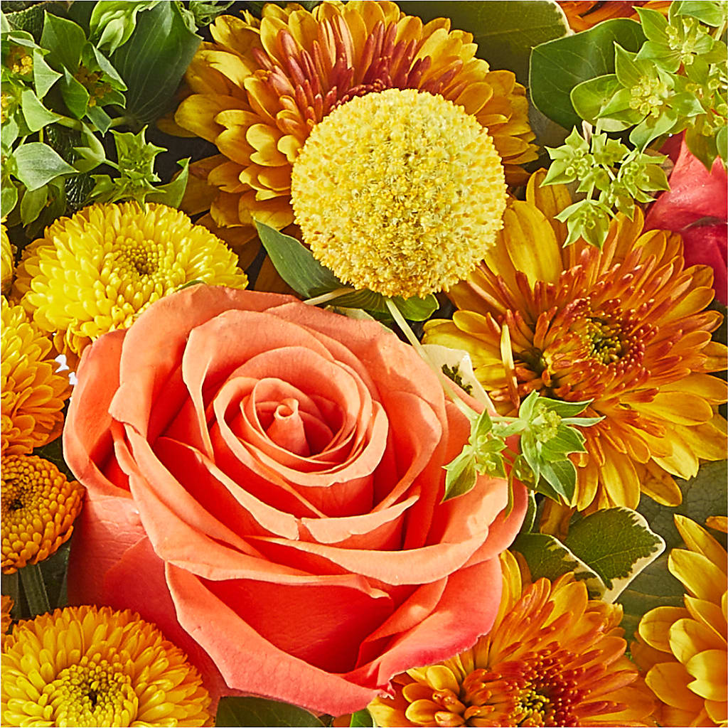Gourdgeous Pumpkin –  Fairfield Florist, Fairfield CT