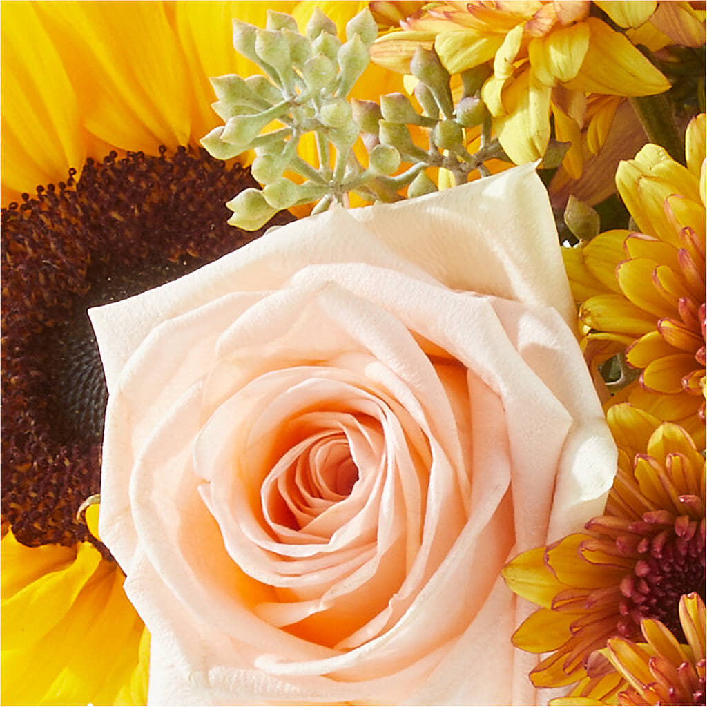 Pumpkin to Talk About Bouquet –  Fairfield Florist, Fairfield CT