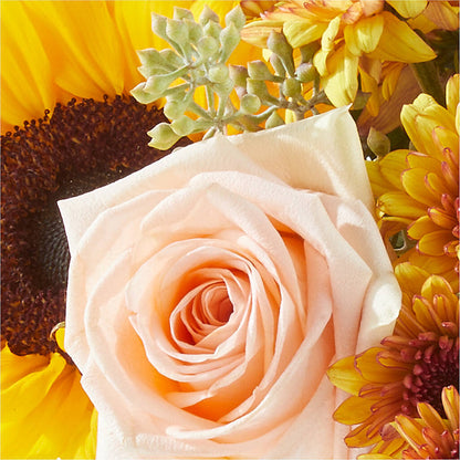 Pumpkin to Talk About Bouquet –  Fairfield Florist, Fairfield CT