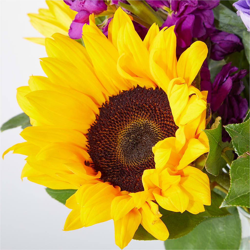 Catching Rays Bouquet –  Fairfield Florist, Fairfield CT
