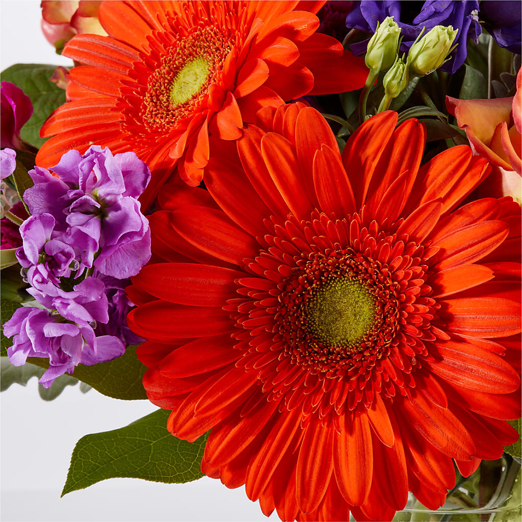 Sangria Bouquet –  Fairfield Florist, Fairfield CT
