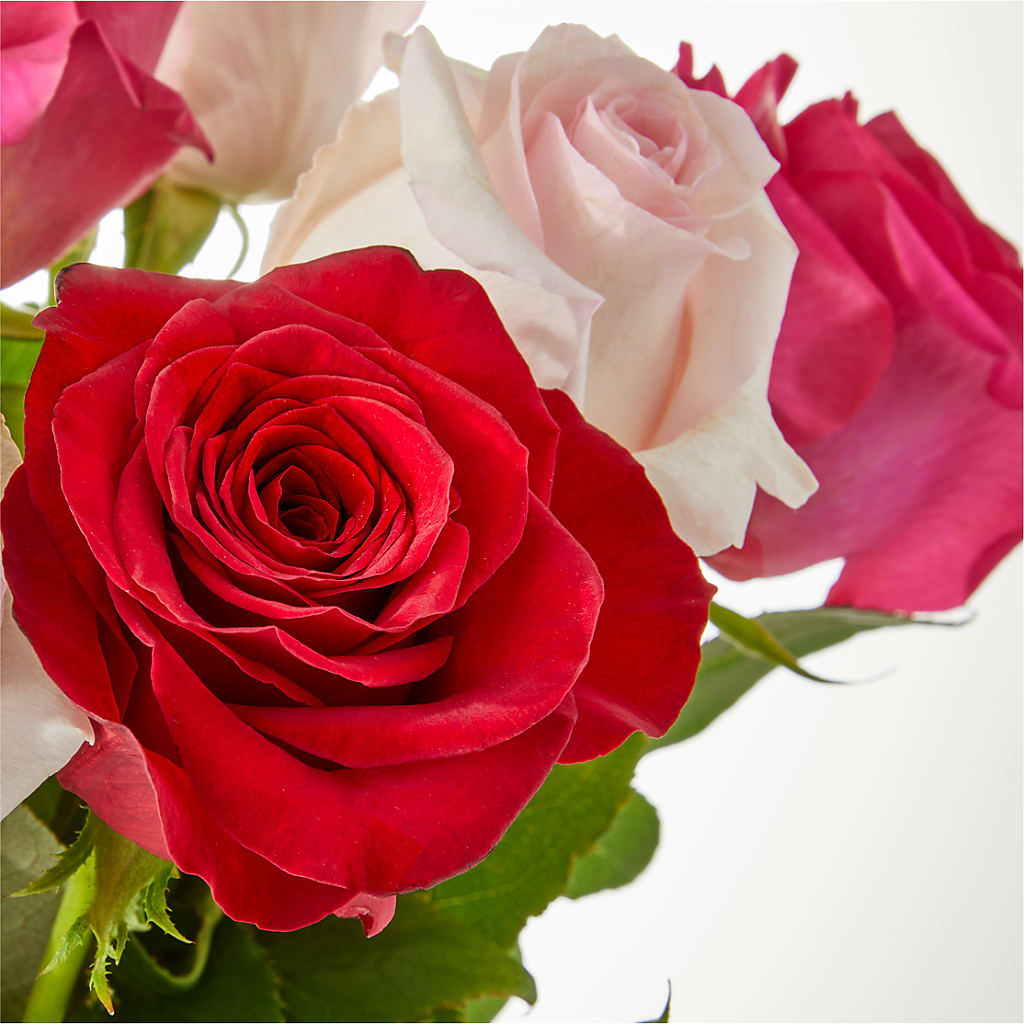 Charming Rose Bouquet –  Fairfield Florist, Fairfield CT