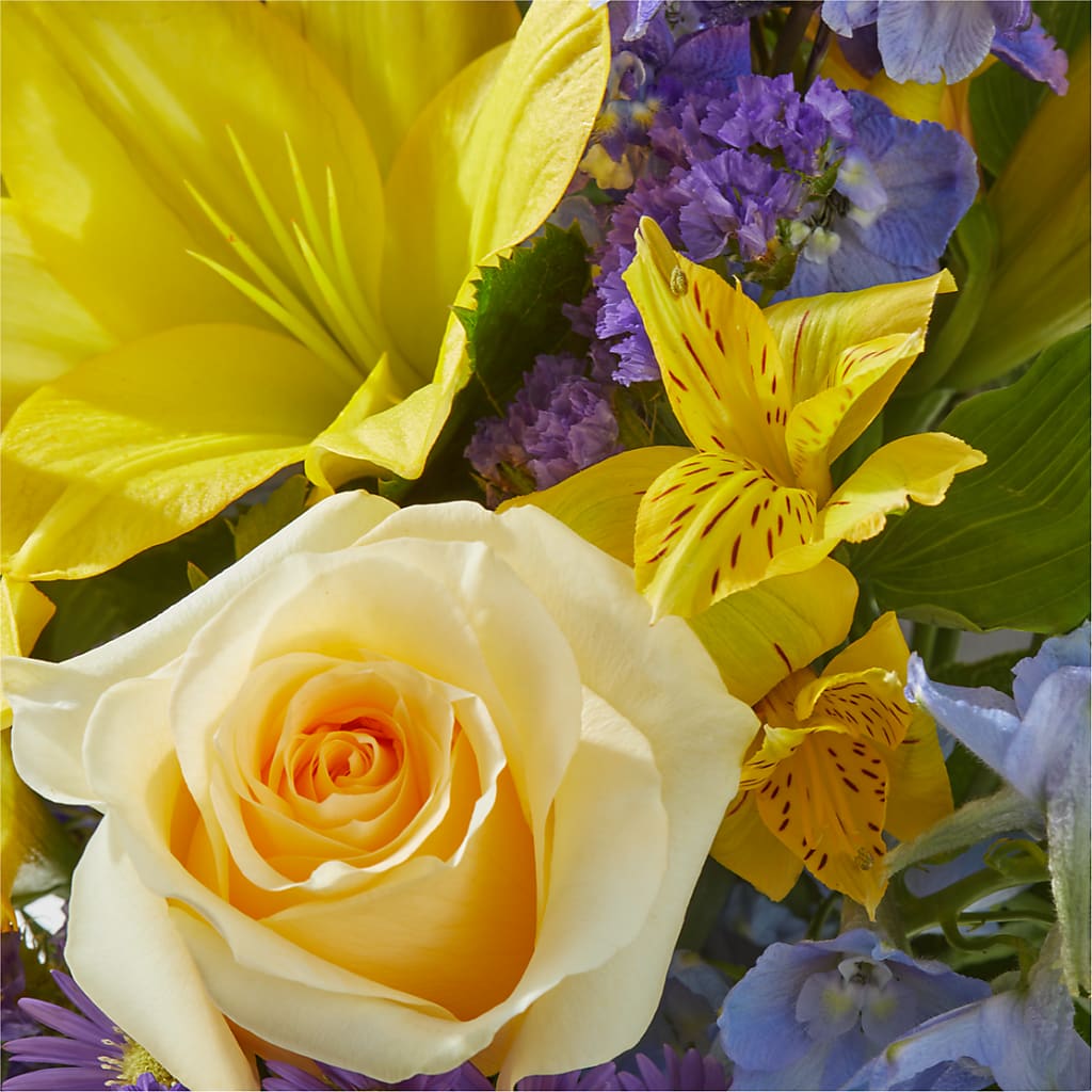 Limoncello Bouquet –  Fairfield Florist, Fairfield CT