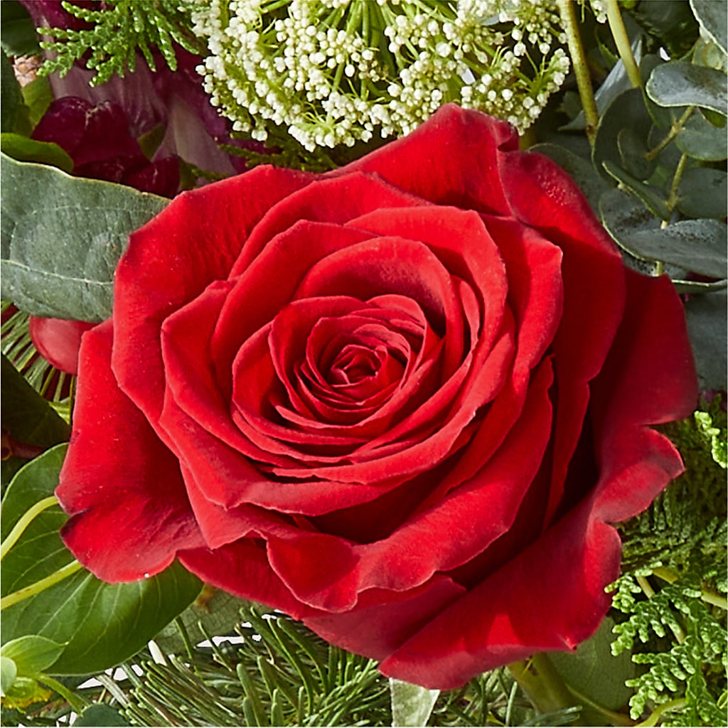 Cranberry Fizz Bouquet –  Fairfield Florist, Fairfield CT