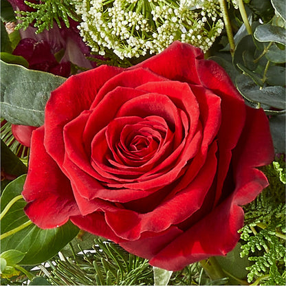 Cranberry Fizz Bouquet –  Fairfield Florist, Fairfield CT