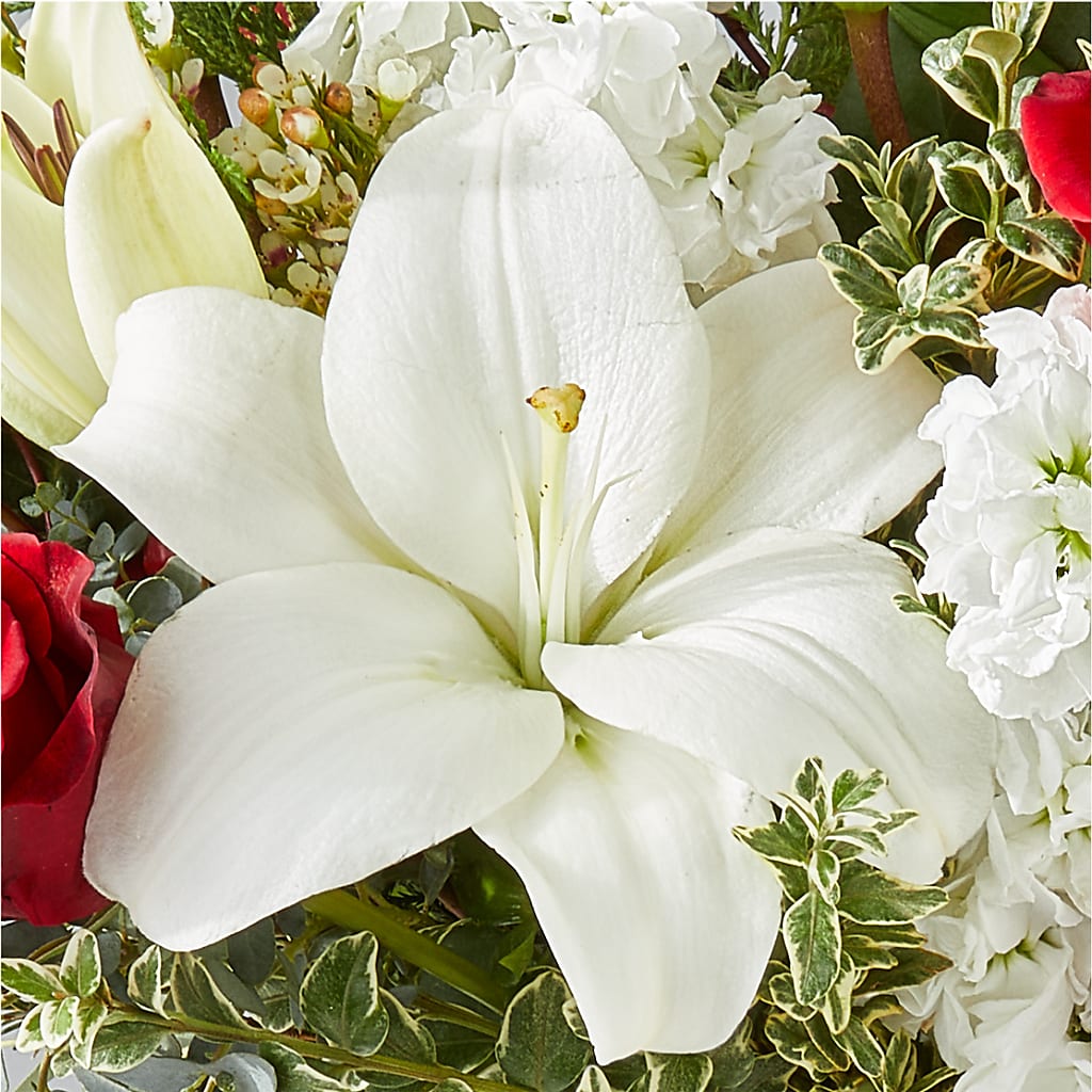 Twinkle Lights Bouquet –  Fairfield Florist, Fairfield CT