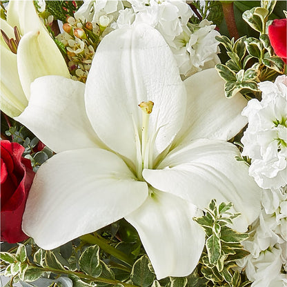 Twinkle Lights Bouquet –  Fairfield Florist, Fairfield CT