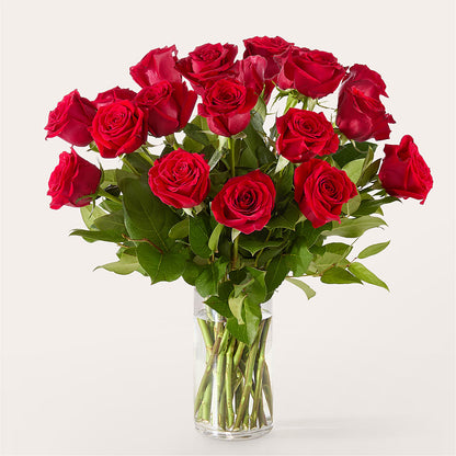 The One Red Rose Bouquet –  Fairfield Florist, Fairfield CT