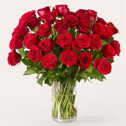 The One Red Rose Bouquet –  Fairfield Florist, Fairfield CT