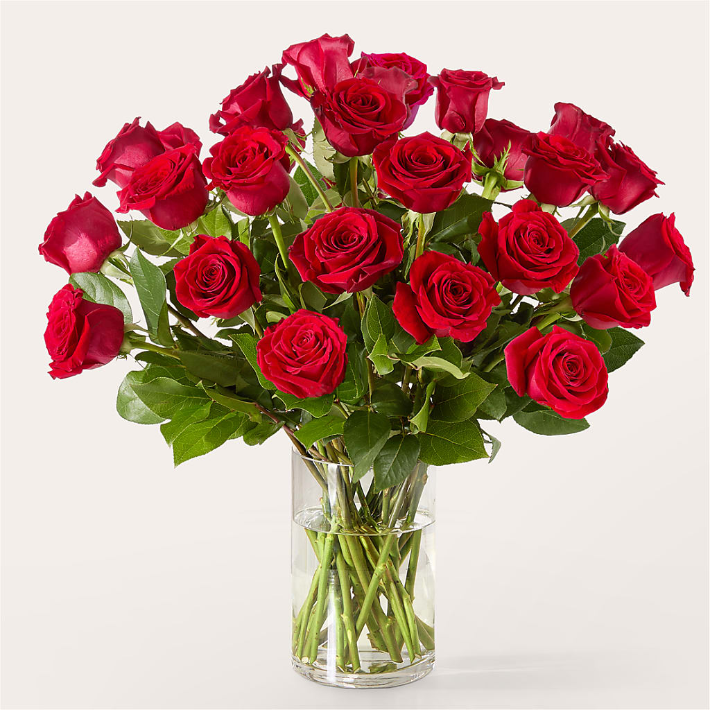The One Red Rose Bouquet –  Fairfield Florist, Fairfield CT