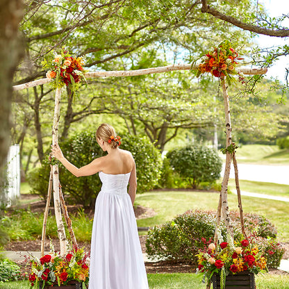 Arbor of Love Archway –  Fairfield Florist, Fairfield CT