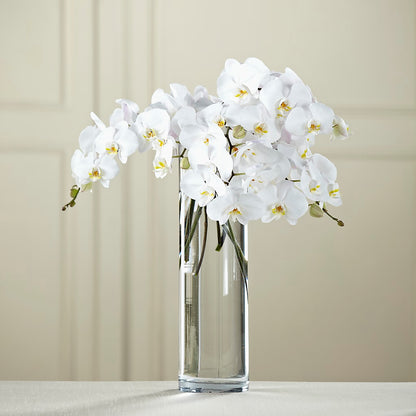 White Phalaenopsis Bouquet –  Fairfield Florist, Fairfield CT
