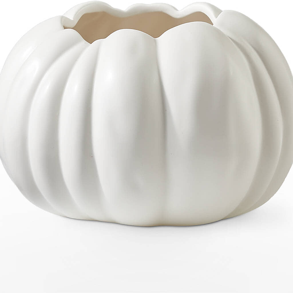 Pumpkin to Talk About Bouquet –  Fairfield Florist, Fairfield CT